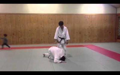 Aiki goshinjutsu kenkyukai ( aiki style)