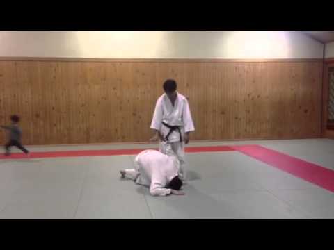 Aiki goshinjutsu kenkyukai ( aiki style)