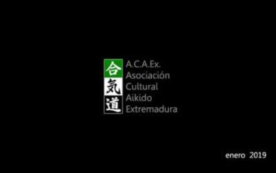 AIKIDO ACAEX – Enero 2019