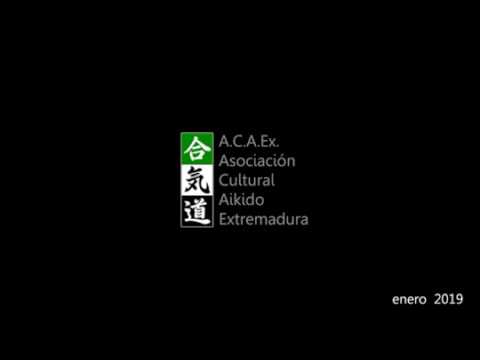 AIKIDO ACAEX – Enero 2019