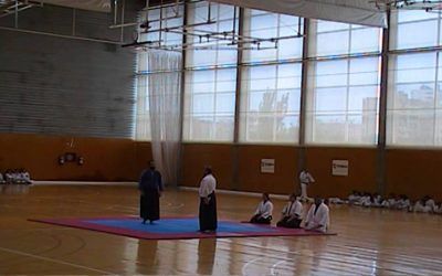 Aikido Open 2015