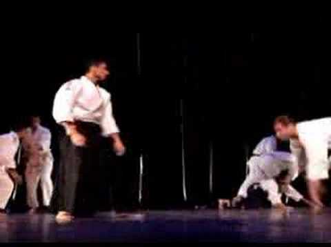 Aikido Santos Aikikai