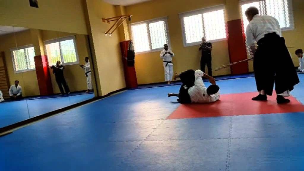 aikido seminar in spain zaragoza