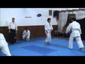 aikido shinubi dojo