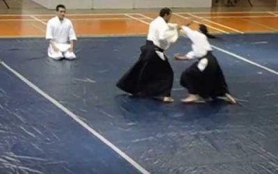 Seminario Aikido 2013 AIC (4ta Reunión) Colombia