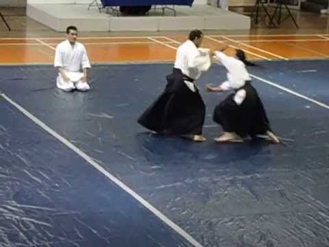 Seminario Aikido 2013 AIC (4ta Reunión) Colombia