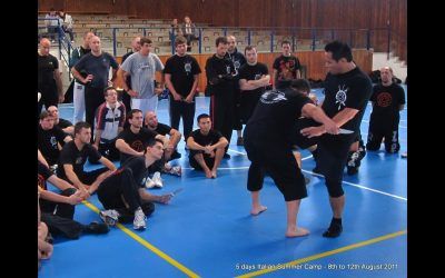 Silat Suffian Bela Diri – Lower Limb Destructions & Kicking Defence