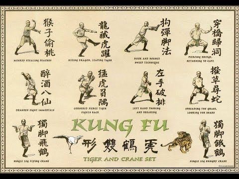 The Elderbeast Presents: Silat Sticky Hands Form & Function