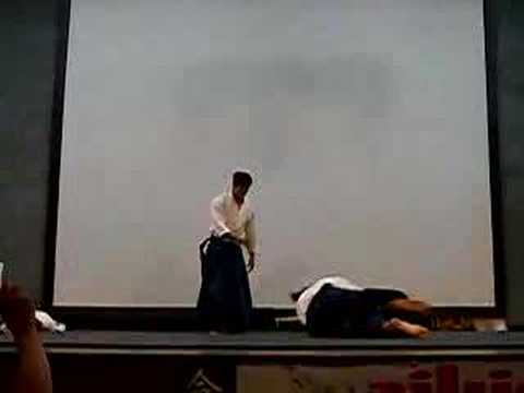 aikido el salvador armando de la