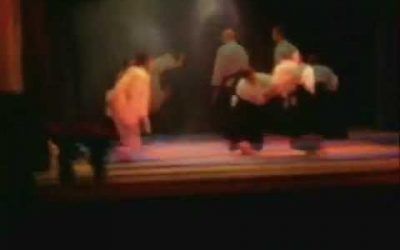 Aikido teatro 2010 Palermo