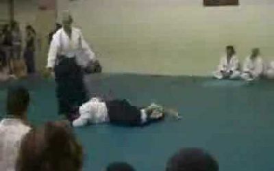 Aikido Vilassar2006