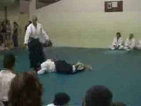 aikido vilassar2006