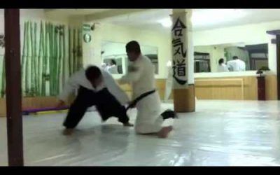 AikidoJalisco – Practica de Rehabilitación Dia 13