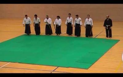 Exhibición aikido 2013 gimnasio Open Sport Zaragoza