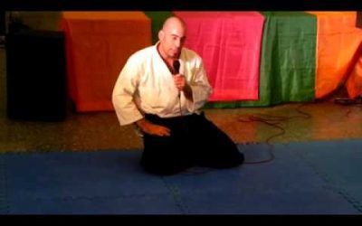 Exhibición de Aikido