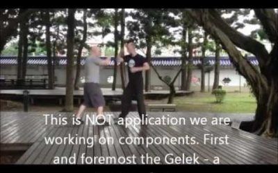 Gelek Basics