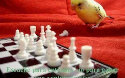 PRINCIPIOS DEL AIKIDO VERBAL