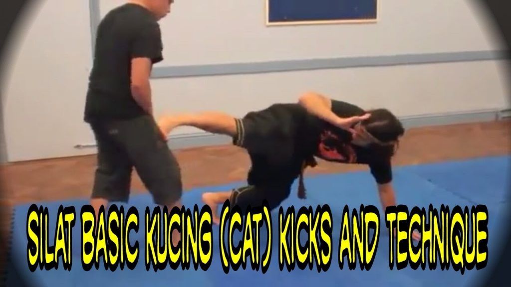 silat basic kucing cat kicks and