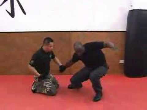 silat suffian bela diri 12 essen