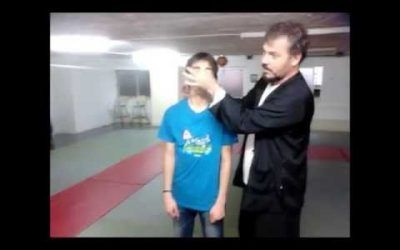 Wing Chun with Aikido and Kyusho
