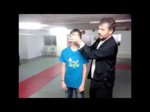wing chun with aikido and kyusho