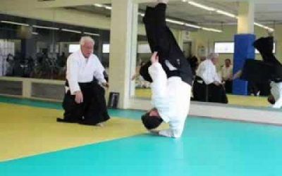 Aikido Joan Rabell, curso tecnico enero 2014