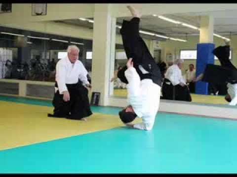 Aikido Joan Rabell, curso tecnico enero 2014