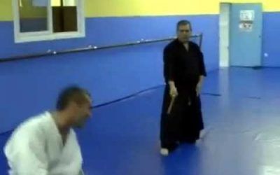 Aikido Kodachi Waza