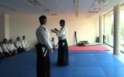 Curso Aikido Miguel Salvador