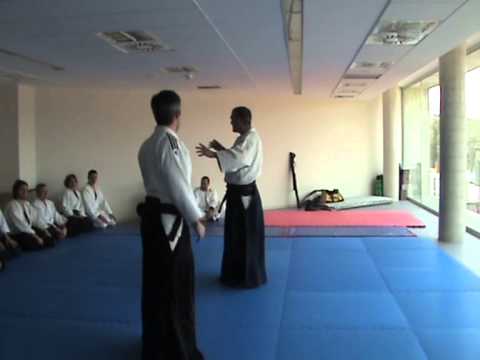 Curso Aikido Miguel Salvador