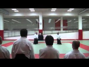 curso federativo de aikido part1
