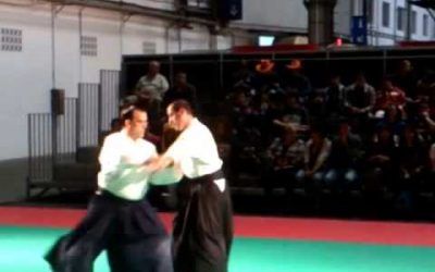 Exhibicion Aikido Salvador Garcia 4º Dan, salon del manga 2013