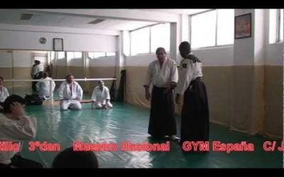 PUPLICIDAD IRON GYM Y GIMNASIO ESPAÑA AIKIDO ARTE DE LA PAZ