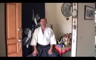 ¿Que es el aikido?