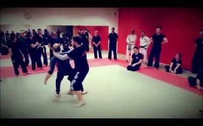 Silat Suffian Kuntau& locks _ Seminar Monselice(PD) 2017 Italia