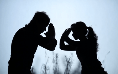 Qi, sexo y artes marciales