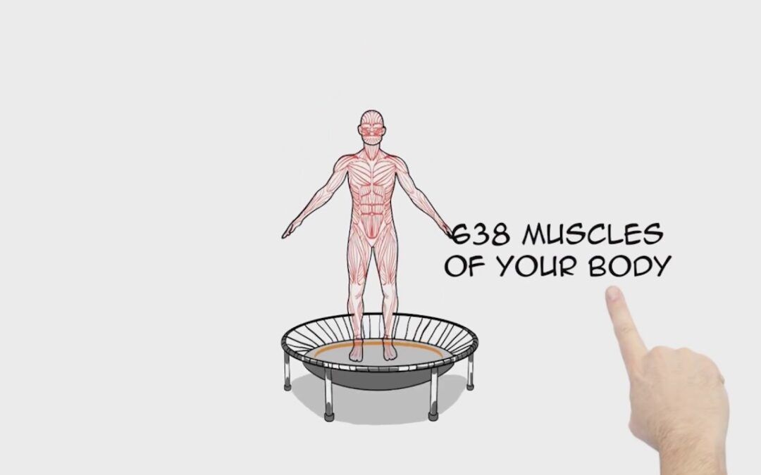 La guía definitiva sobre los bellicon rebounders: ¡descubre los beneficios de este entrenamiento único!